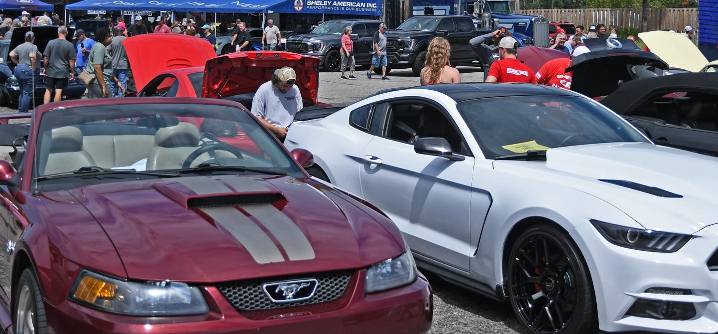 Everything You Need to Know About Mustang Week 2024