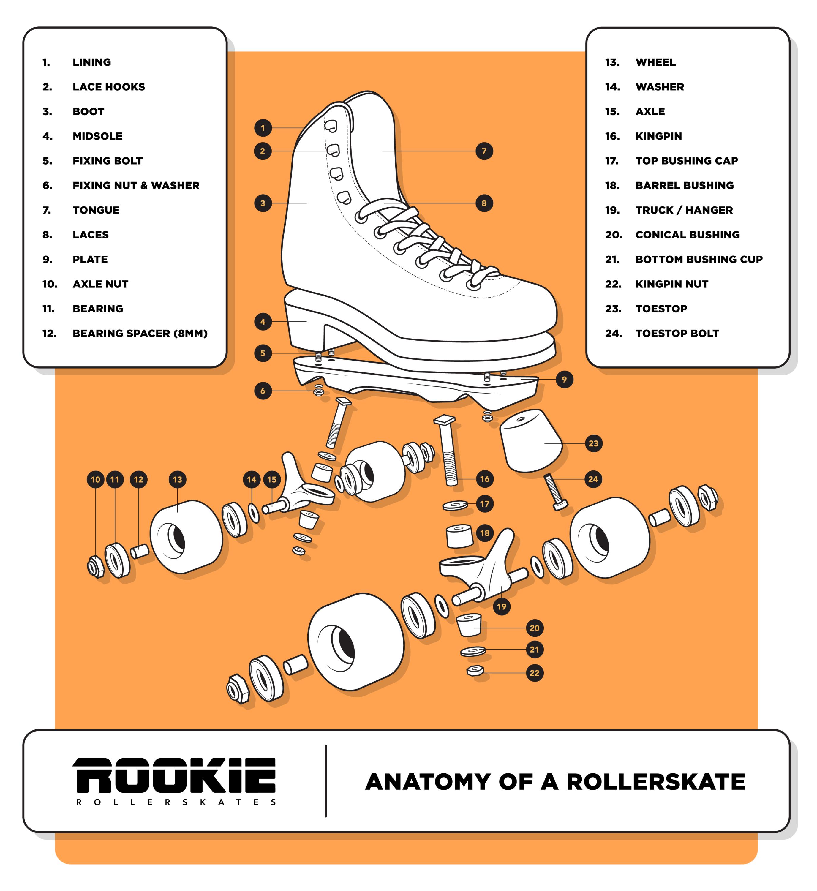 Rookie Roller Skates Anatomy of a roller skate